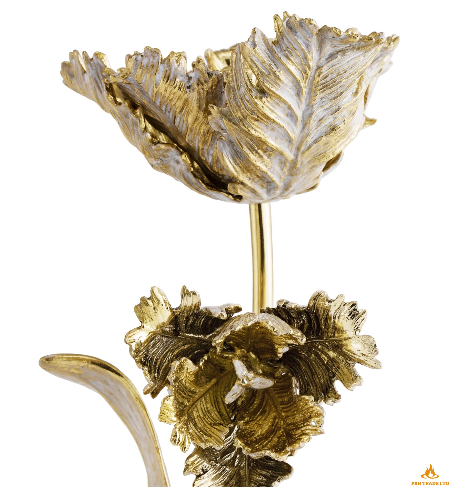 Cordia Tulip Candlesticks (Pair of Two)