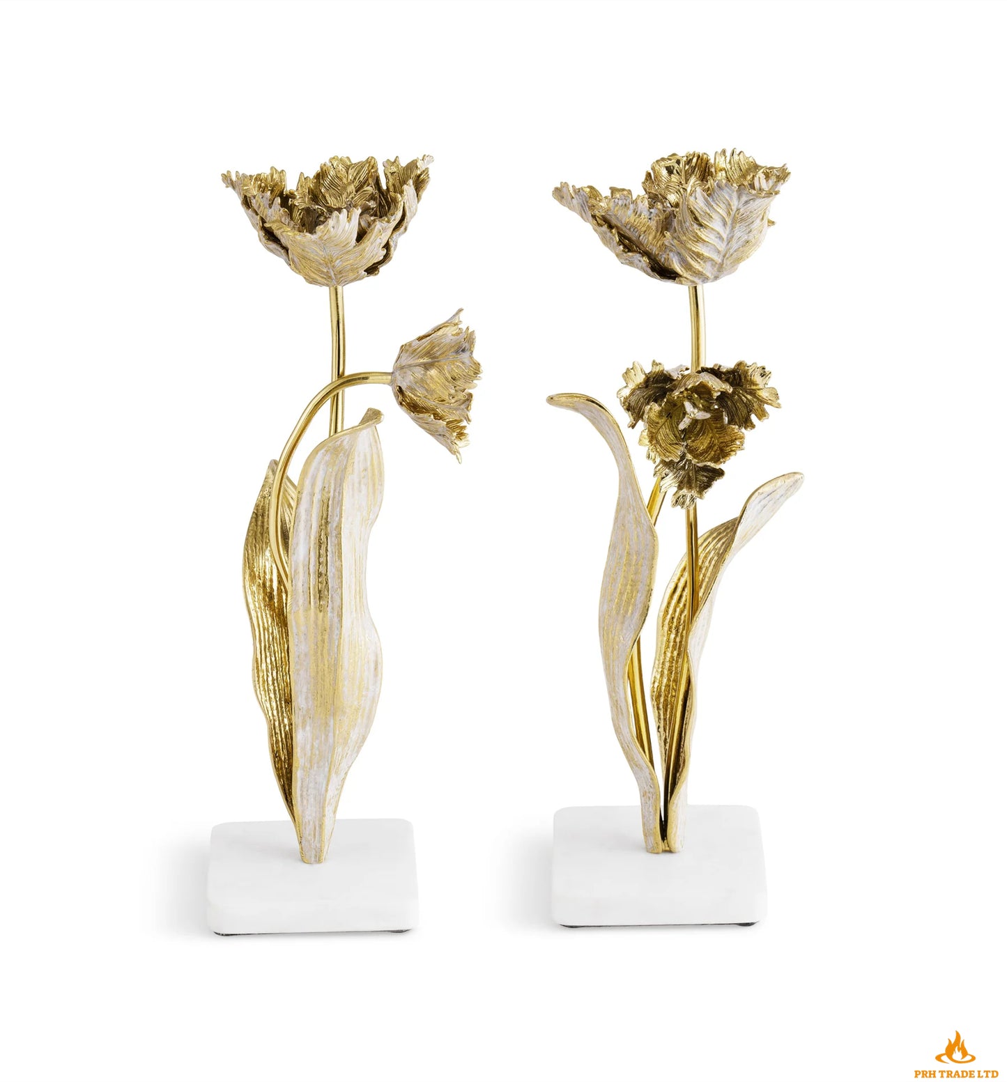 Cordia Tulip Candlesticks (Pair of Two)